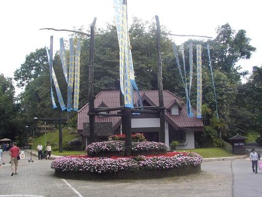 Photograph