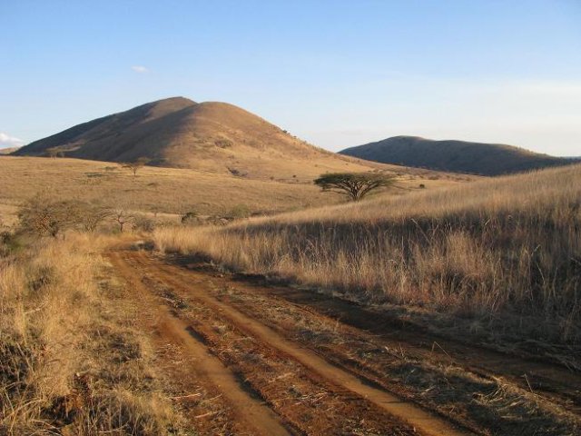 Photograph